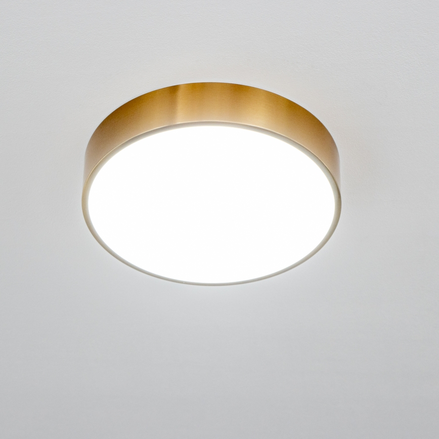 Brilagi - LED-loftlampe til badeværelse POOL LED/24W/230V 3000/4000/5500K Ø 30 cm IP54 bronze