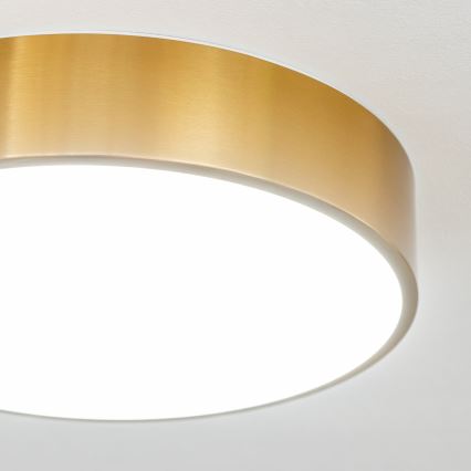 Brilagi - LED-loftlampe til badeværelse POOL LED/24W/230V 3000/4000/5500K Ø 30 cm IP54 bronze