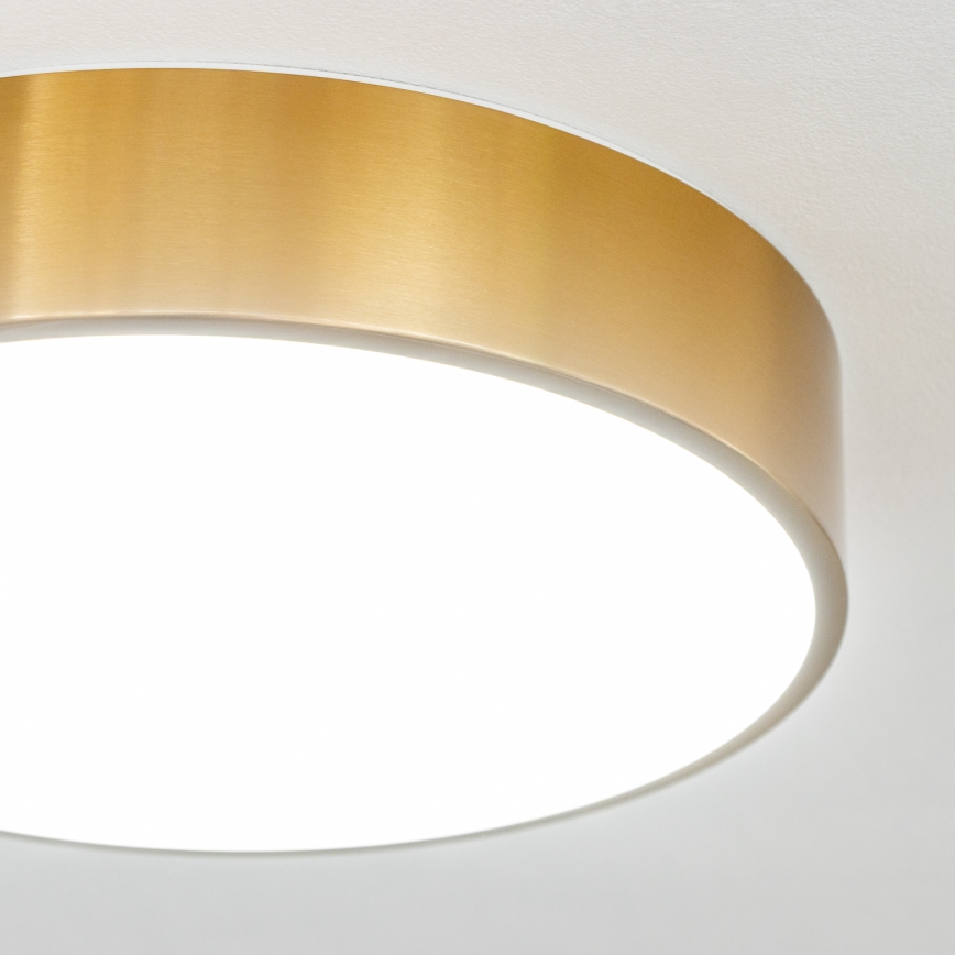 Brilagi - LED-loftlampe til badeværelse POOL LED/24W/230V 3000/4000/5500K Ø 30 cm IP54 bronze