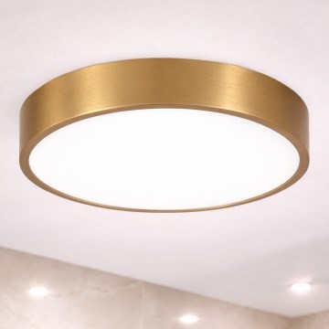 Brilagi - LED loftlampe til badeværelse POOL LED/36W/230V 3000/4000/5500K Ø 40 cm IP54 bronze