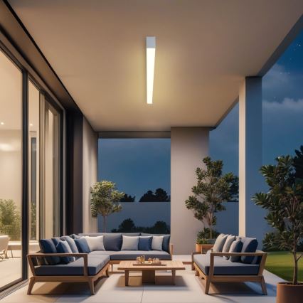 Brilagi - LED loftlampe til badeværelse SLEEKLINE LED/40W/230V 3000/4500/6000K sølv IP44