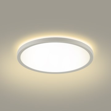 Brilagi - LED loftlampe til badeværelse ULTRA SLIM LED/12W/230V diameter 22,5 cm hvid IP54