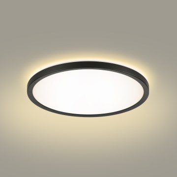 Brilagi - LED loftlampe til badeværelse ULTRA SLIM LED/12W/230V diameter 22,5 cm sort IP54