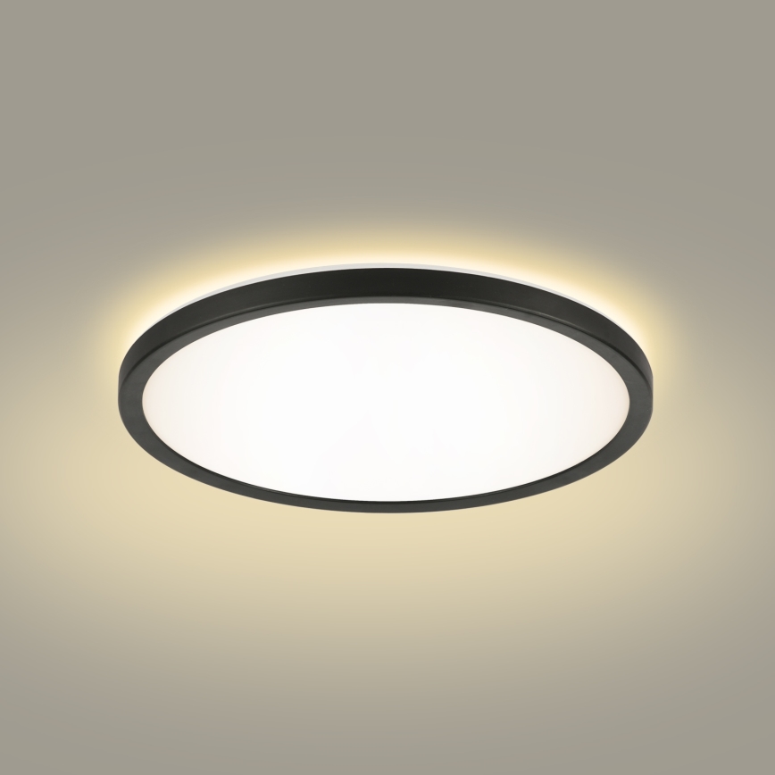 Brilagi - LED loftlampe til badeværelse ULTRA SLIM LED/12W/230V diameter 22,5 cm sort IP54