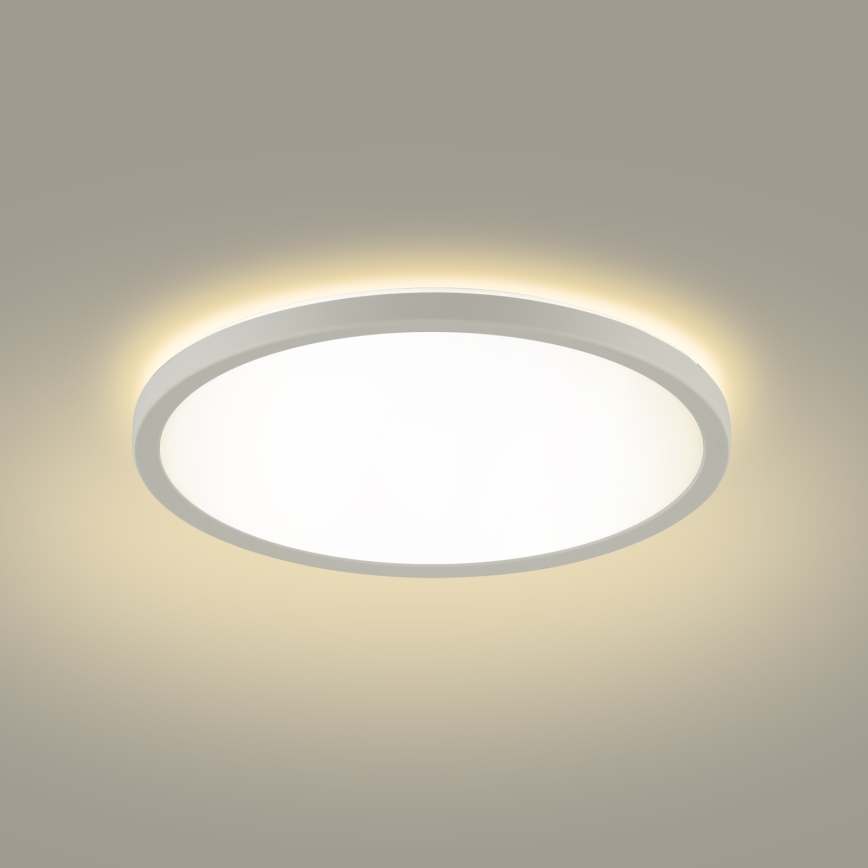 Brilagi - LED loftlampe til badeværelse ULTRA SLIM LED/24W/230V 42x42 cm hvid IP54