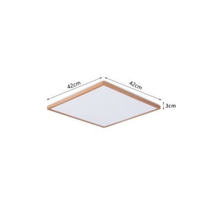 Brilagi - ULTRA SLIM LED loftlampe til badeværelse, 24 W, 230 V, 42 x 42 cm, rosaguld, IP54
