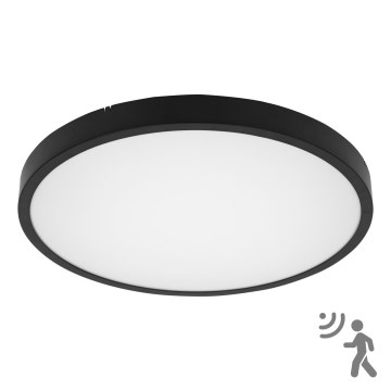 BRILAGI - LED loftlampe til badeværelset med sensor ZENNA LED/36W/230V Ø 41,3 cm IP44 sort + fjernbetjening