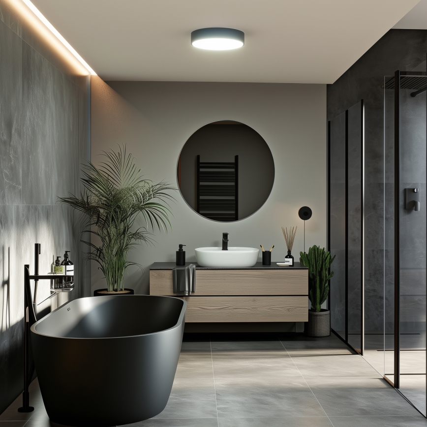 Brilagi - LED loftlampe til badeværelse POOL LED/24W/230V 3000/4000/5500K Ø 30 cm IP54 sort