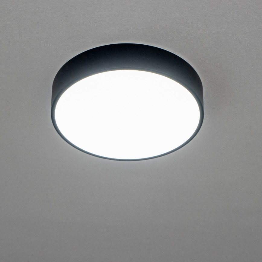 Brilagi - LED loftlampe til badeværelse POOL LED/24W/230V 3000/4000/5500K Ø 30 cm IP54 sort