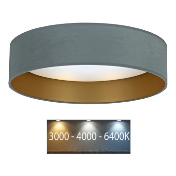 Brilagi - LED loftlampe VELVET LED/12W/230V diam. 30 cm 3000K/4000K/6400K mintgrøn/guldfarvet