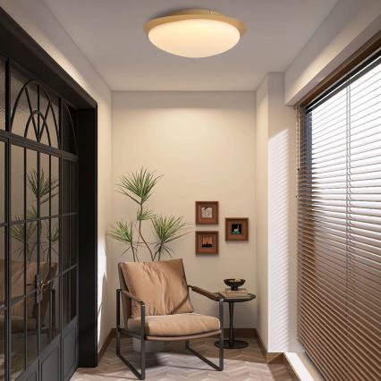 Brilagi - LED loftlampe VISBY WOOD LED/18W/230V Ø 38 cm brun