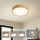 Brilagi - LED loftlampe WOODLINE LED/24W/230V 3000/4000/6000K eg Ø 30 cm