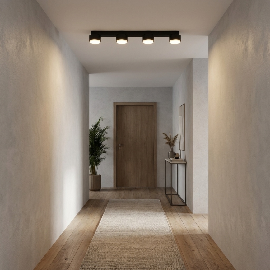 Brilagi - LED loftspot MONO 4xGX53/30W/230V sort
