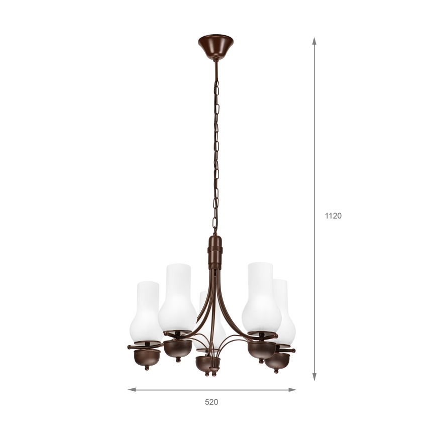 Brilagi - LED lysekrone på kæde COTTAGE 5xE14/40W/230V eg/hvid