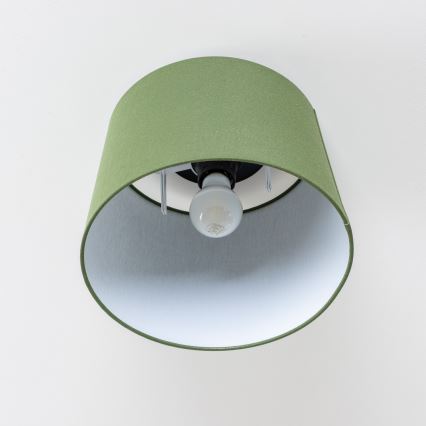 Brilagi - LED overflademonteret loftlampe CERIA 1xE27/40W/230V Ø 30 cm grøn