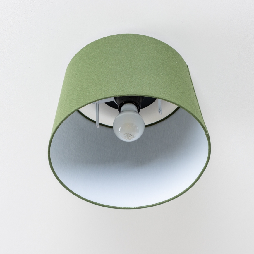 Brilagi - LED overflademonteret loftlampe CERIA 1xE27/40W/230V Ø 30 cm grøn