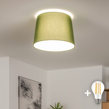 Brilagi - LED overflademonteret loftlampe CERIA 1xE27/40W/230V Ø 30 cm grøn