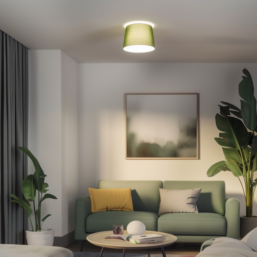 Brilagi - LED overflademonteret loftlampe CERIA 1xE27/40W/230V Ø 30 cm grøn