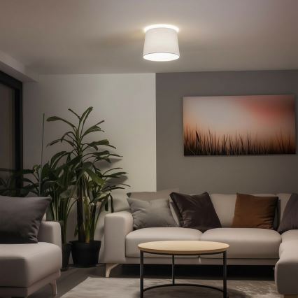 Brilagi - LED overflademonteret loftlampe CERIA 1xE27/40W/230V Ø 30 cm hvid