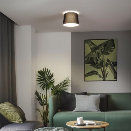 Brilagi - LED overflademonteret loftlampe CERIA 1xE27/40W/230V Ø 30 cm sort