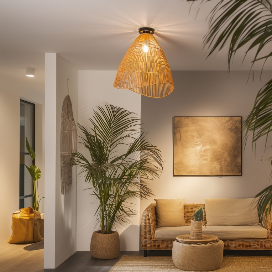 Brilagi - LED overflademonteret loftlampe CERIA BOHO 1xE27/40W/230V Ø 50 cm brun