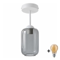 BRILAGI - LED overflademonteret loftlampe RETRO GLASS 1xE27/60W/230V Ø 14 cm hvid/røget grå