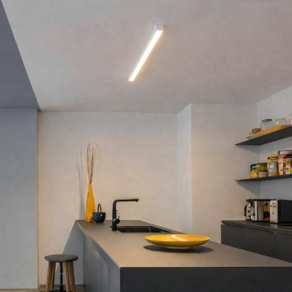 Brilagi - LED overflademonteret loftarmatur FULLDAY LED/10/15/20W/230V 2700/4000/6000K 60 cm hvid