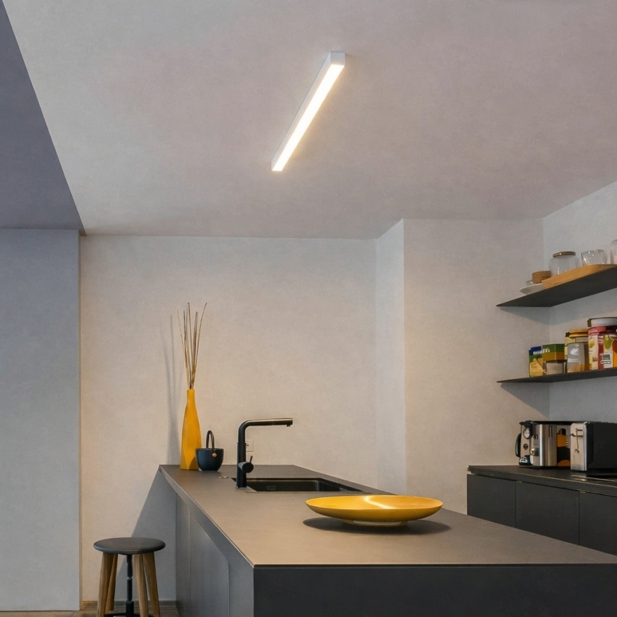 Brilagi - LED overflademonteret loftarmatur FULLDAY LED/10/15/20W/230V 2700/4000/6000K 60 cm hvid