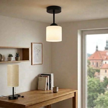 BRILAGI - LED påbygget loftlampe RETRO GLASS 1xE27/60W/230V Ø 10 cm sort/hvid