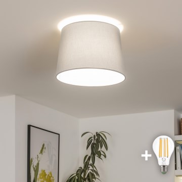 Brilagi - LED påbygningslampe CERIA 1xE27/40W/230V Ø 30 cm grå