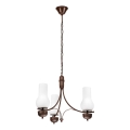 Brilagi - LED Pendel med kædeophæng COTTAGE 3xE14/40W/230V eg/hvid