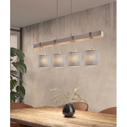 Brilagi - LED-pendel med wire NUBILA 4xE27/60W/230V grå