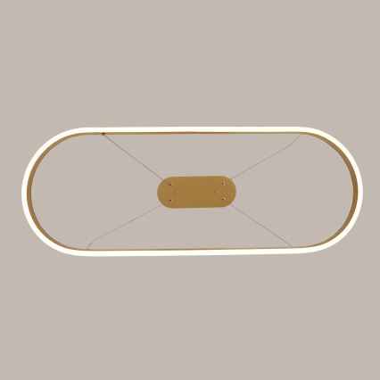 Brilagi - LED-pendel med wire PONDIE LED/44W/230V 80x30 cm guld