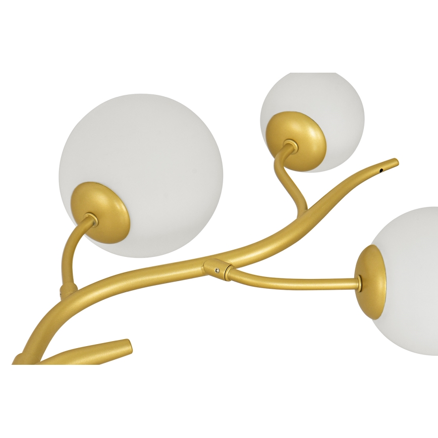 Brilagi - LED pendel MISTEL 6xG9/3W/230V guldfarvet/hvid