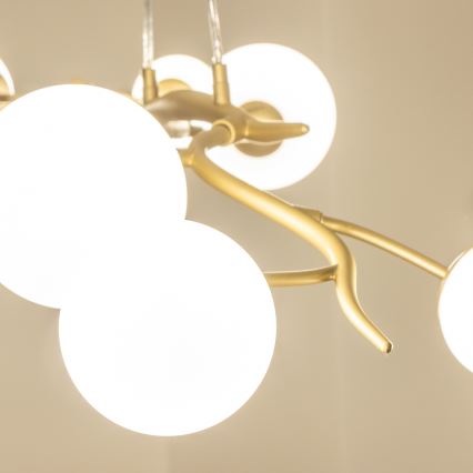 Brilagi - LED pendel MISTEL 6xG9/3W/230V guldfarvet/hvid