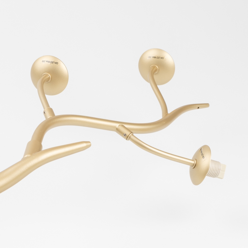 Brilagi - LED pendel MISTEL 6xG9/3W/230V guldfarvet/hvid