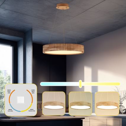 Brilagi - LED-pendel på wire FALCON WOOD MODERN LED/30W/230V 3000/4000/6000K Ø 45 cm træ