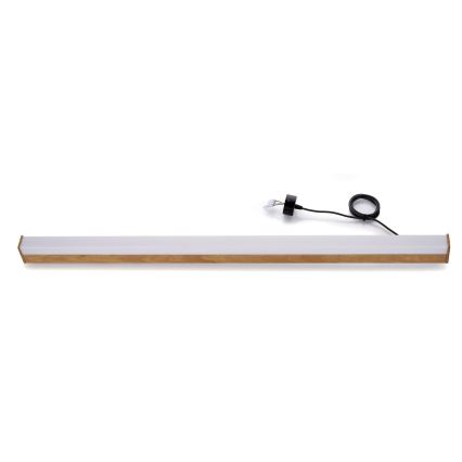BRILAGI - LED-pendel på kabel GARDALINE LED/100W/230V eg