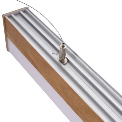 BRILAGI - LED-pendel på kabel GARDALINE LED/100W/230V eg