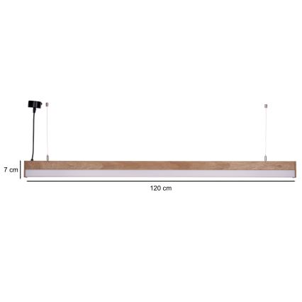 BRILAGI - LED-pendel på kabel GARDALINE LED/100W/230V eg