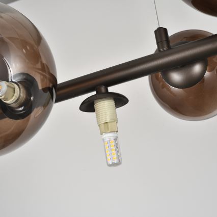 Brilagi - LED-pendel på kabel MILLA 10xG9/3W/230V brun/røgbrun