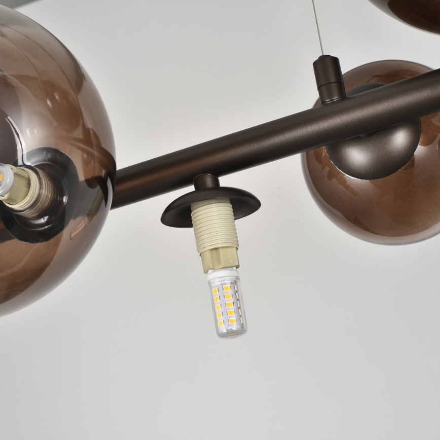 Brilagi - LED-pendel på kabel MILLA 10xG9/3W/230V brun/røgbrun