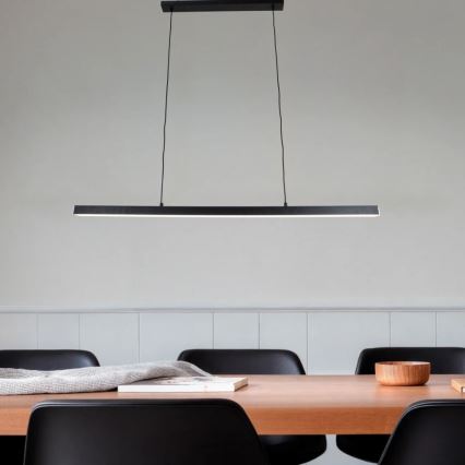 Brilagi - LED-pendel på kabel PAXIS LED/30W/230V 120 cm sort