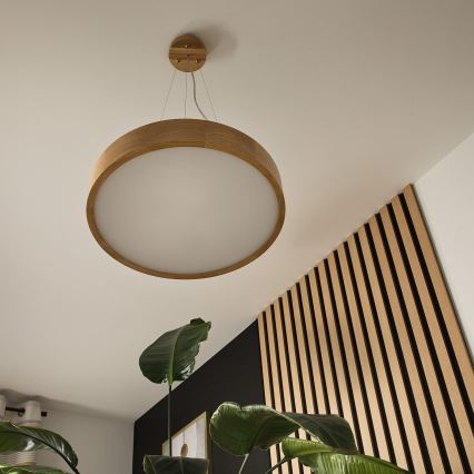 Brilagi - LED-pendel på wire CARVALHO 3xE27/15W/230V i egetræ Ø 47,5 cm