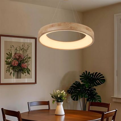 Brilagi - LED-pendel på wire FALCON WOOD LED/40W/230V 3000/4000/6000K Ø 60 cm træ