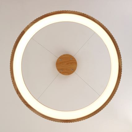 Brilagi - LED-pendel på wire FALCON WOOD MODERN LED/60W/230V 3000/4000/6000K Ø 80 cm træ