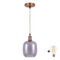 BRILAGI - LED-pendel på wire RETRO GLASS 1xE27/60W/230V Ø 14 cm guld/røggrå