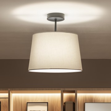 Brilagi - LED plafond CERIA 1xE27/60W/230V Ø 30 cm sort/grå