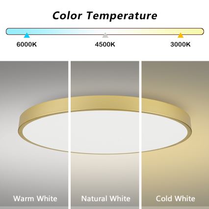 Brilagi - LED loftlampe POOL LED/180W/230V 3000/4000/6000K Ø 120 cm guld