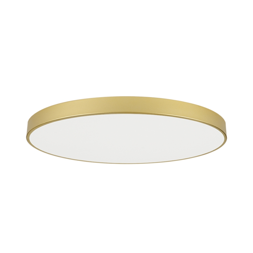 Brilagi - LED loftlampe POOL LED/180W/230V 3000/4500/6000K Ø 120 cm guld